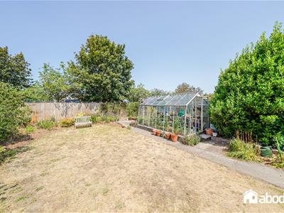 Picture 25